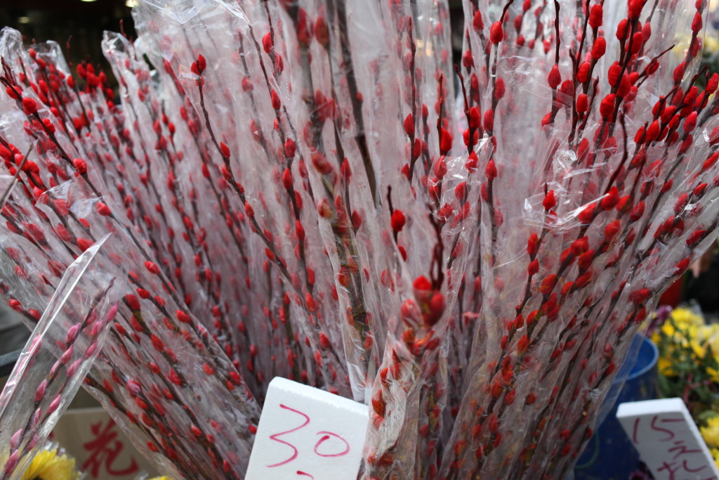 Chinese New Year Flower Market