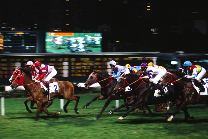 Wednesday Night Horse Racing